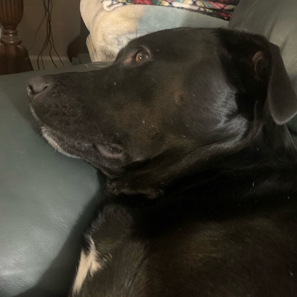 Going off to college sale! 🏫 Make offers! I will not get offended by any offer✨ - Picture 2 of 7